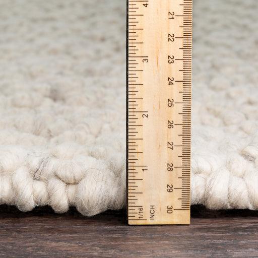 Surya Neravan NER-1001 - Kapisa Rugs